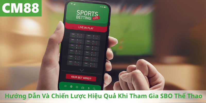 Chiến Lược Hiệu Quả Khi Tham Gia SBO Thể Thao